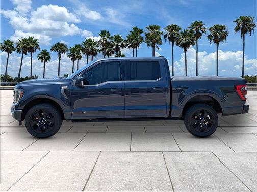 Smoked Quartz Metallic Tinted Clearcoat 2022 Ford F-150 Platinum