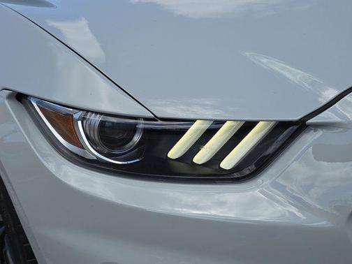 2016 Ford Shelby GT350 Base