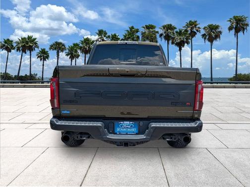 Shelter Green 2024 Ford F-150 Raptor