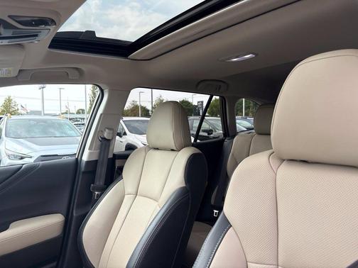 Autumn Green Metallic 2025 Subaru Outback Limited
