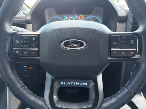 Avalanche 2023 Ford F-150 Platinum