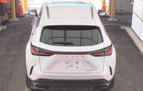 2024 Lexus NX 250 Premium