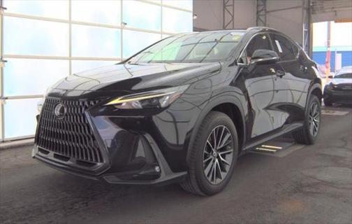 2023 Lexus NX 250 Premium