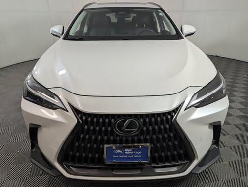 2022 Lexus NX 350h BASE