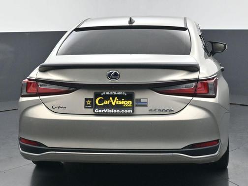Beige Metallic 2019 Lexus ES 300h Base