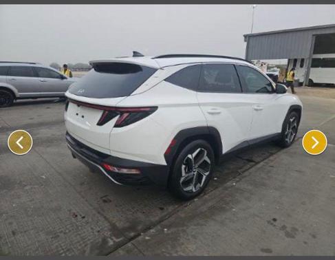 White Pearl 2024 Hyundai TUCSON Limited