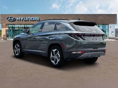 Amazon Gray 2024 Hyundai TUCSON Hybrid Limited