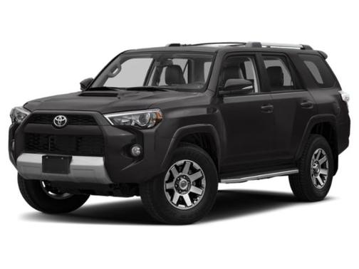 Magnetic Gray Metallic 2019 Toyota 4Runner TRD Off Road Premium