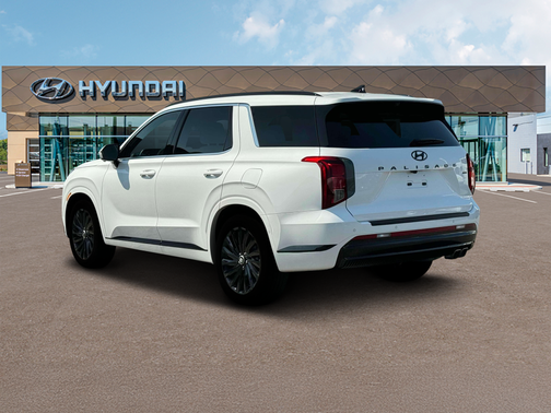 Hyper White 2024 Hyundai PALISADE Calligraphy Night Edition