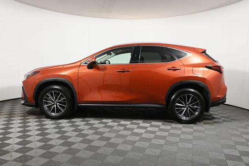 2023 Lexus NX 350 Premium