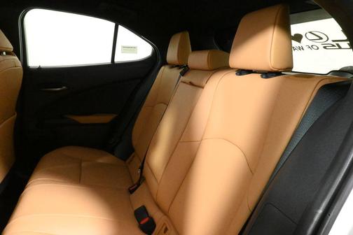 2025 Lexus UX 300h Premium