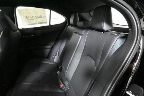 2025 Lexus UX 300h Premium