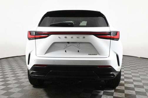 2023 Lexus NX 250 Premium