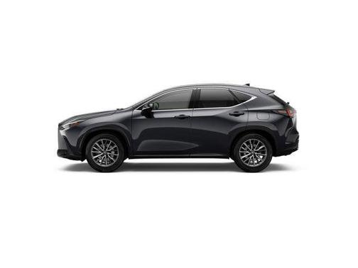 2026 Lexus NX 350 