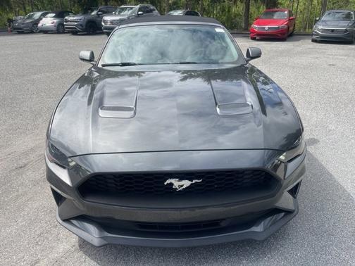 2019 Ford Mustang EcoBoost