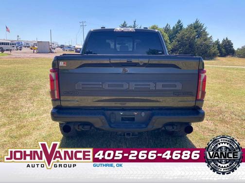 Shelter Green 2024 Ford F-150 Raptor
