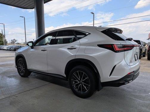 2024 Lexus NX 250 Premium