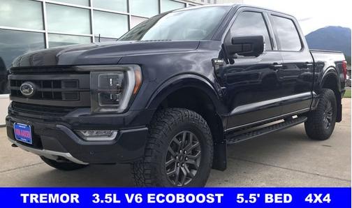 ANTIMATTER BLUE METALLIC 2022 Ford F-150 TREMOR