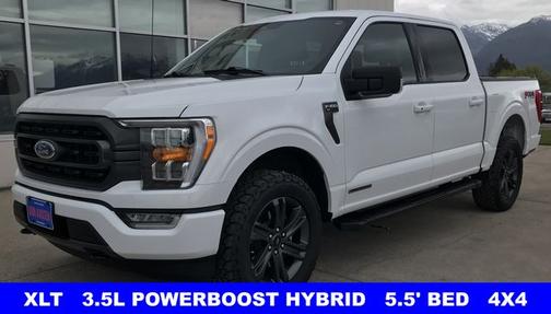 OXFORD WHITE 2023 Ford F-150 XLT