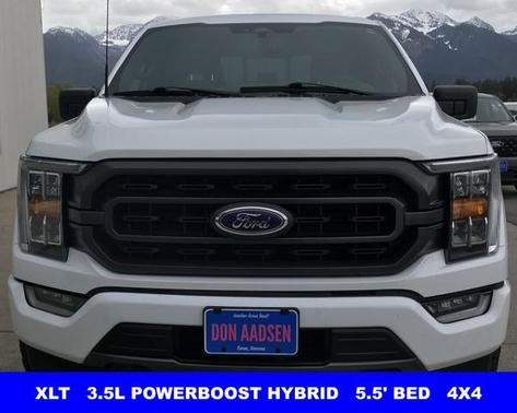 OXFORD WHITE 2023 Ford F-150 XLT