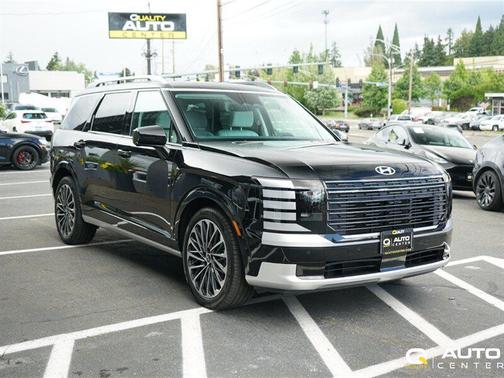 Abyss Black Pearl 2026 Hyundai PALISADE Calligraphy