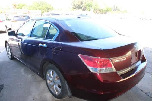 2010 Honda Accord EX-L