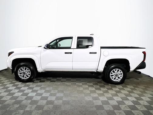 Ice Cap 2025 Toyota Tacoma SR