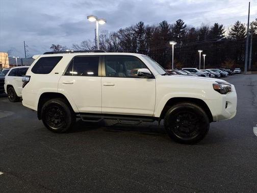 2019 Toyota 4Runner SR5 Premium