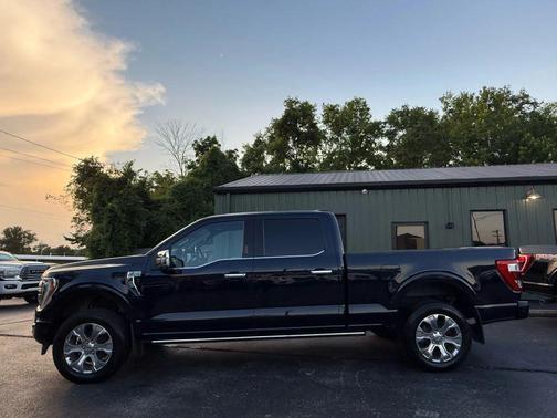 2021 Ford F-150 Platinum