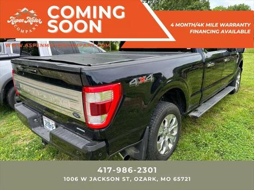 2021 Ford F-150 Platinum