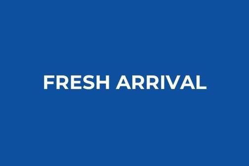 2024 Ford Transit-350 Base