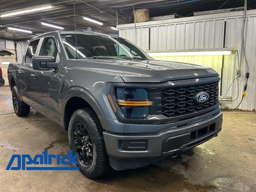 Gray Metallic 2025 Ford F-150 STX