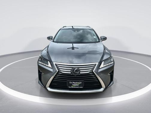 Nebula Gray Pearl 2019 Lexus RX 350 Base