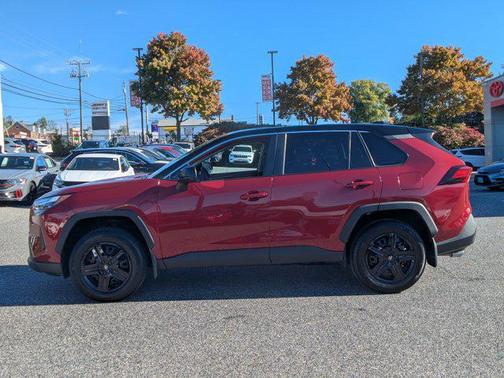 2024 Toyota RAV4 LE