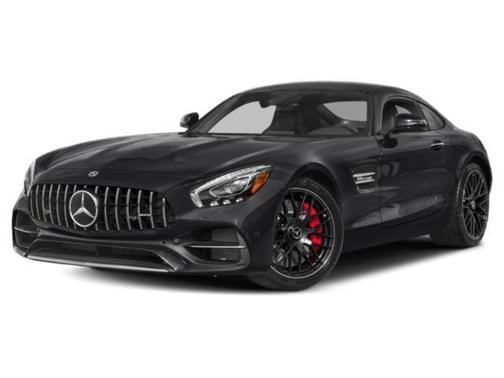 Van Paint - Unknown 2018 Mercedes-Benz AMG GT R