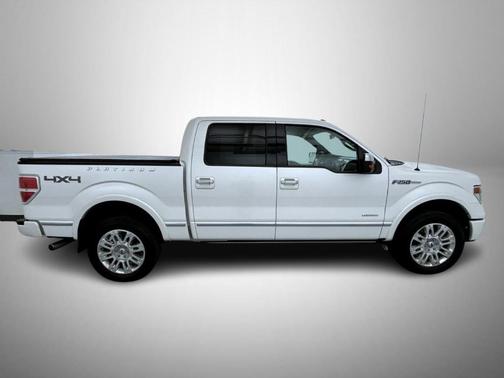 2013 Ford F-150 Platinum