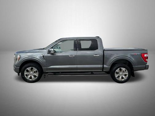 Gray Metallic 2023 Ford F-150 Platinum