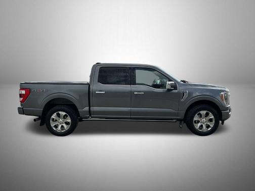 Gray Metallic 2023 Ford F-150 Platinum