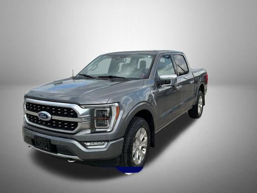 Gray Metallic 2023 Ford F-150 Platinum