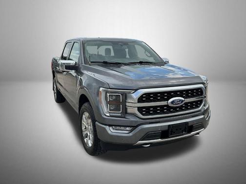 Gray Metallic 2023 Ford F-150 Platinum