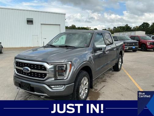 Gray Metallic 2023 Ford F-150 Platinum