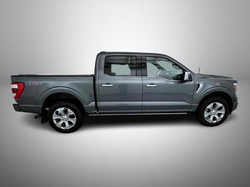 Gray Metallic 2023 Ford F-150 Platinum