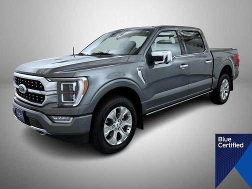Gray Metallic 2023 Ford F-150 Platinum