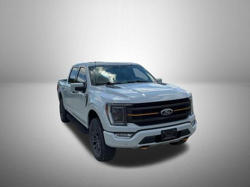 Avalanche Gray 2023 Ford F-150 Tremor