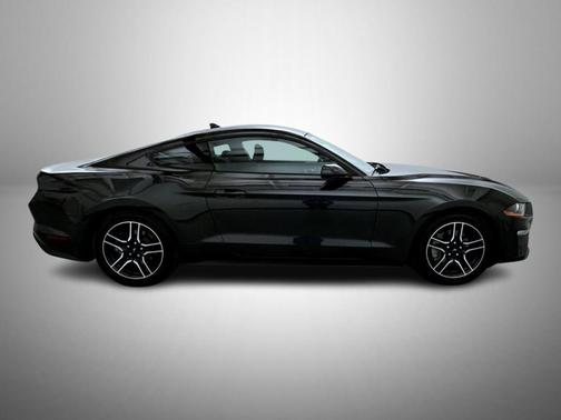2023 Ford Mustang EcoBoost