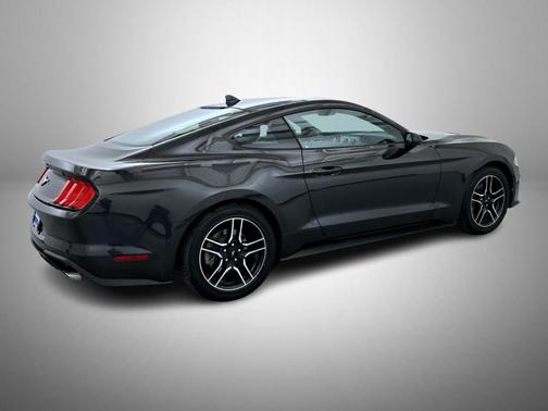 2023 Ford Mustang EcoBoost