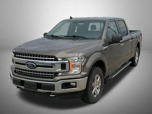 Stone Gray Metallic 2019 Ford F-150 XLT