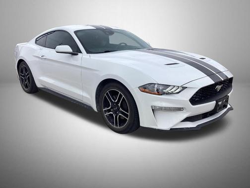 2023 Ford Mustang EcoBoost