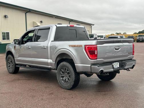 Iconic Silver Metallic 2023 Ford F-150 Tremor
