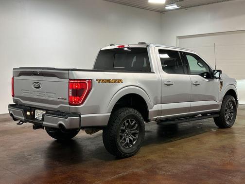 Iconic Silver Metallic 2023 Ford F-150 Tremor